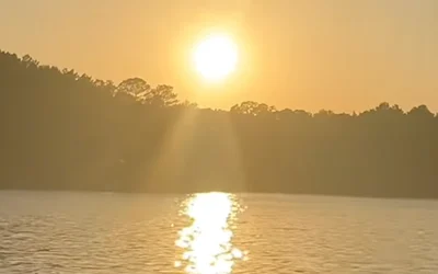 Touring Indian Shores by Boat: Lake Martin Waterfront Neighborhood Guide